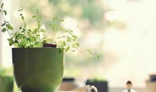 简单的一句话的签名 一句话简单的个性签名有哪些