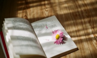 古代的博士指什么 古时候的博士指什么人