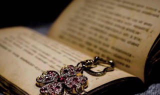 花落知多少中的知多少指什么 花落知多少中原文及解释