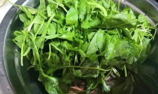 如何做荠菜粉丝豆腐 荠菜粉丝豆腐简单做法