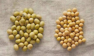 黄豆如何做豆腐 黄豆做豆腐的方法