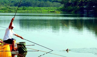 钓鱼要注意哪些技巧 钓鱼需要注意的问题