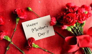 送母亲的感恩句子 感恩母亲的句子有哪些