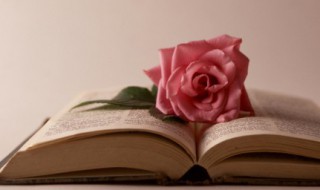 感悟身边人和事句子 描述感悟身边人和事的句子有哪些