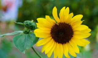 描述季节的句子 形容季节的句子范例