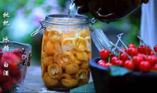 怎么做枇杷果酒 枇杷果酒做法介绍