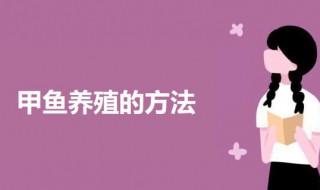甲鱼大量养殖方法 养甲鱼的方法介绍