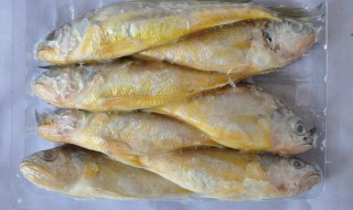 小黄花鱼去骨步骤窍门 小黄花鱼去骨步骤窍门分享