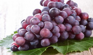 葡萄的保鲜储存方法 葡萄的保鲜储存方法推荐