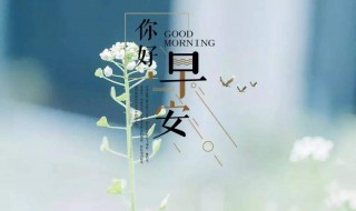 12月早安语录朋友圈 12月早安语录集锦