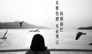 分手伤心的句子 分手伤心的简短句子