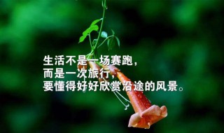 人生感悟做人的道理 人生感悟短句说说