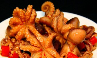 红烧八爪鱼家常做法窍门 红烧八爪鱼怎么做