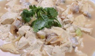 蛤蜊炖豆腐如何做 做蛤蜊炖豆腐的方法