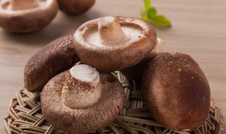 香菇怎么挑 香菇的营养价值