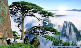 黄山四绝的意思 黄山四绝简单介绍