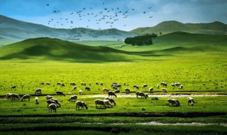 啦可以组什么词 啦字可以怎么组词呢