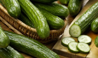 黄瓜怎么保鲜 储存黄瓜的步骤