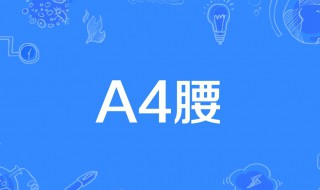 a4腰什么意思 什么是a4腰