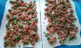 香葱肉卷要如何做 猪肉香葱肉卷的做法步骤