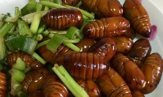 蚕蛹的爆炒方法 怎样爆炒蚕蛹