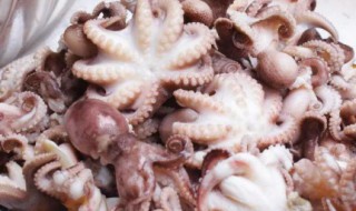 怎么做清蒸章鱼 清蒸章鱼的简单做法