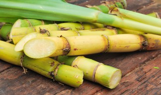 怎样种甘蔗 种甘蔗的技巧有什么