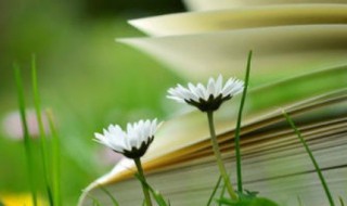 为高考加油最感动的十句话 为高考加油励志语暖心句子