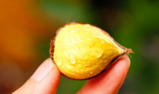 怎样保存栗子 板栗怎么保存不会坏