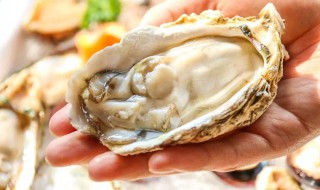 生蚝怎样保存 怎样保存生蚝