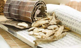 麦冬黄芪泡水喝的五大禁忌 麦冬黄芪泡水喝的五大禁忌简单介绍