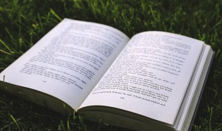 描写动物动作的一段话 描写动物动作的好段有什么