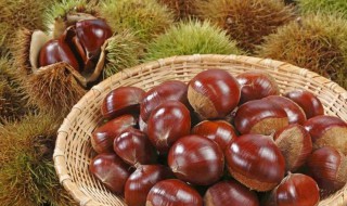 板栗怎样保存 板栗如何存放