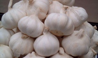 怎样保存大蒜 大蒜怎么保存