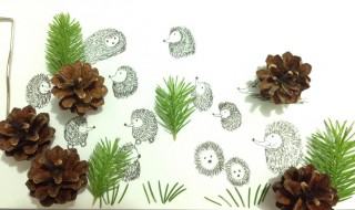 松塔绿植怎么做 松塔绿植的做法