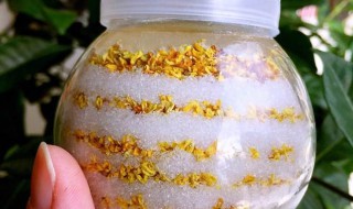 怎样做糖桂花 糖桂花怎么制作