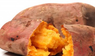 地瓜煮多久熟 地瓜煮熟的时间