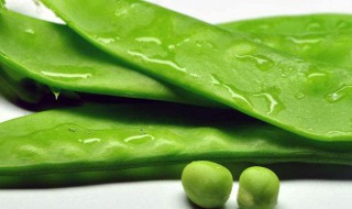 扁豆煮多久才无毒 扁豆煮多久才无毒的解析