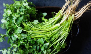 新鲜香菜如何长期保存 新鲜香菜长期保存的方法介绍
