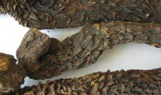 阿拉善有哪些特产 阿拉善有什么特产