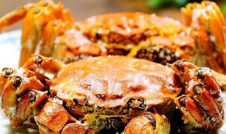 盐烤大闸蟹如何做 盐烤大闸蟹的做法