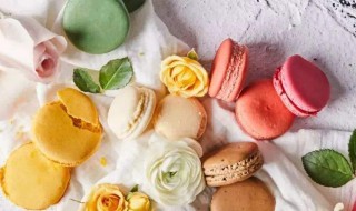 小烤箱如何做马卡龙 小烤箱做马卡龙的方法介绍