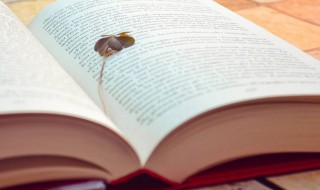 有哲理的名人名言 有哲学意义的名句推荐