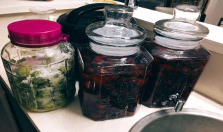 李子酒怎样长期保存 李子酒长期保存的方法