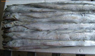 带鱼的速冻方法 带鱼的速冻方法是什么