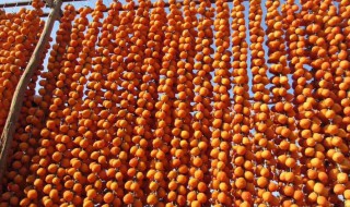 制作柿饼的方法和步骤 怎么制作柿饼