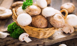 烧平菇如何做 烧平菇的做法