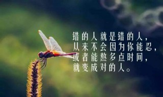 分手心灵鸡汤经典语录 分手心情说说