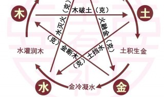 金命人适合什么颜色 金命人的性格特点如何