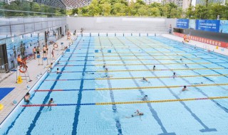 游泳护发技巧 游泳护发的做法